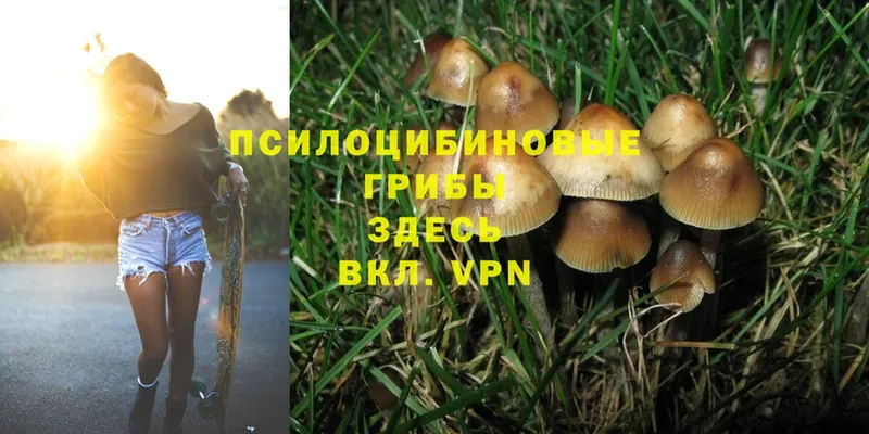 Галлюциногенные грибы MAGIC MUSHROOMS  Сатка 